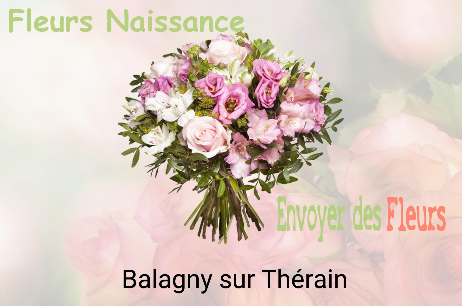 Bouquet de fleurs de naissance livré à Balagny-sur-Thérain